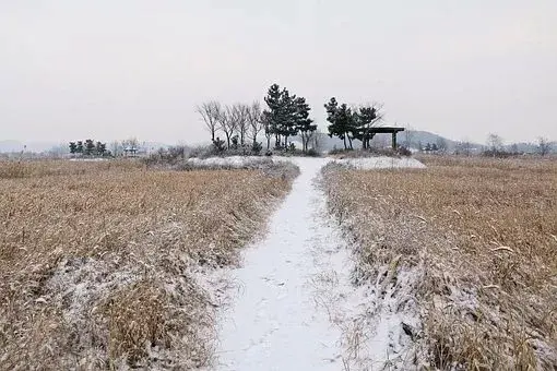 在古代可以用什么词代替雪，在古代对雪的称谓还有哪些（看看古人对雪的24种雅称）