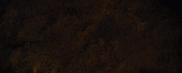 哈利波特一共有几部，哈利波特小说有几部（《哈利波特》泪点来了）