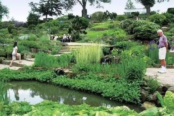 老花镜怎么配，老花镜要去配还是直接买就行（花境植物的配置与养护技巧）