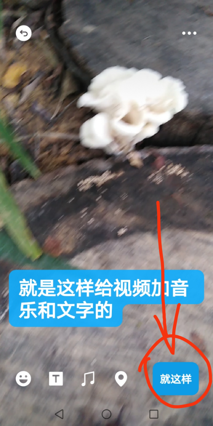 朋友圈怎么发音乐(微信朋友圈音乐怎么加)
