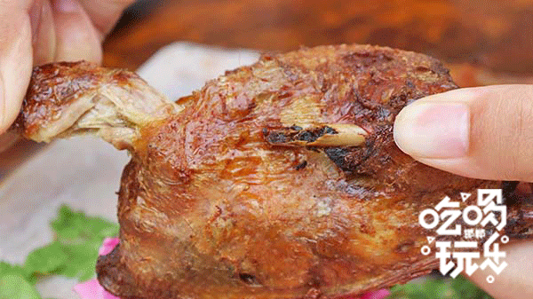 邯山区美食（邯郸这家乳鸽，藏得太深了）