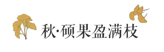 山东师范大学2021级本科新生大数据，厦门潍坊人数遥遥领先（山东师范大学2021年本科录取通知书正式发布）