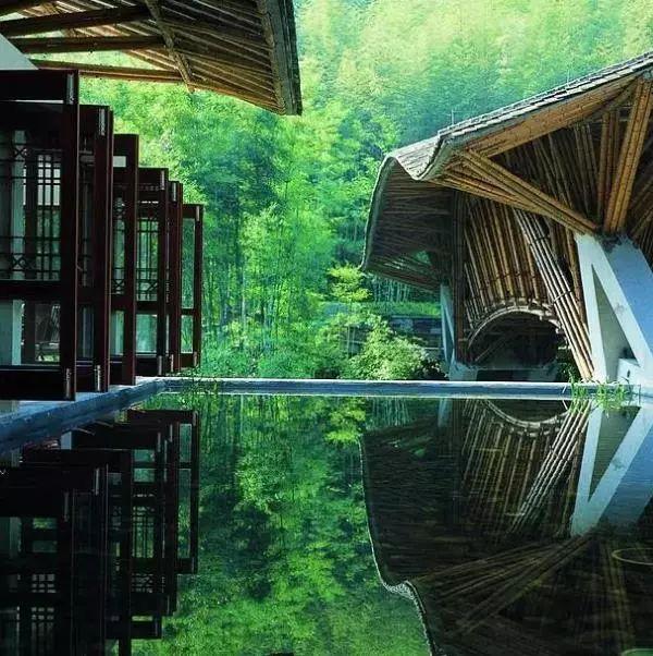 电视剧在桃花盛开的地方霞子是谁的孩子，电视剧在哪桃花盛开的地方、少花的孩子是（<历代名家画竹清赏>）