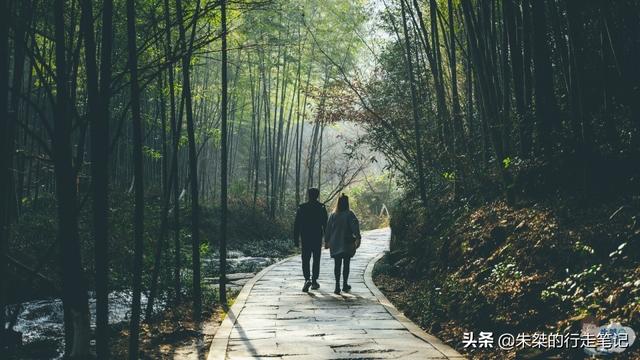 宜兴竹海和南山竹海哪个好玩，宜兴竹海好还是南山竹海好（国内竹海景区中唯一的5A）