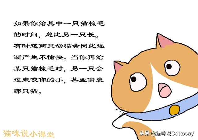 家里养了两只猫，总是打架怎么办（同时养2只幼猫的利弊）