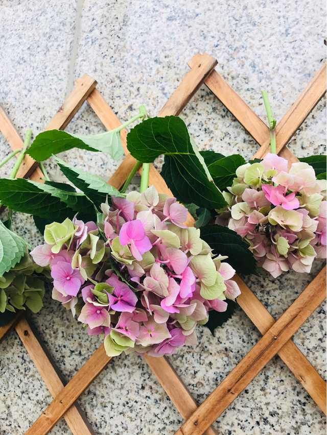 怎么做干花，干花的制作方法，必须要掌握（怎么做干花）