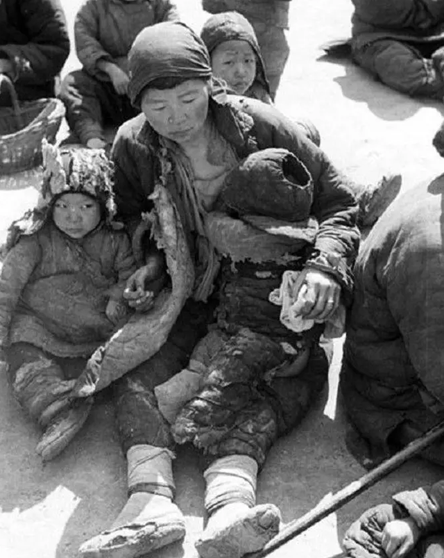 河南蝗灾发生在哪一年，河南蝗灾死了多少人（大饥荒中的汤恩伯到底有多狠）