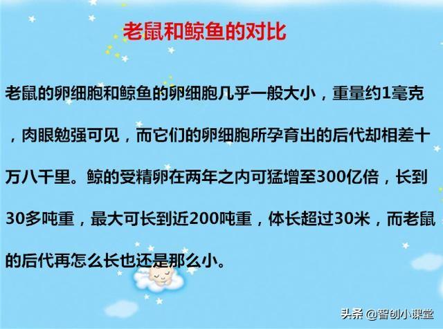 小孩睡前故事，小孩睡前故事狼来了（给孩子睡前听的14个小故事）