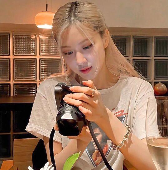 /江樱/ 澳洲野玫瑰朴彩英头像1弹微信，/江樱/ 澳洲野玫瑰朴彩英头像1弹（Rose头像壁纸澳洲野玫瑰）