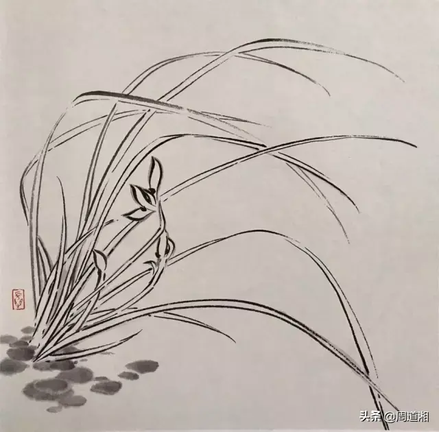 草的简笔画怎么画，猪笼草的简笔画怎么画（兰草的画法）