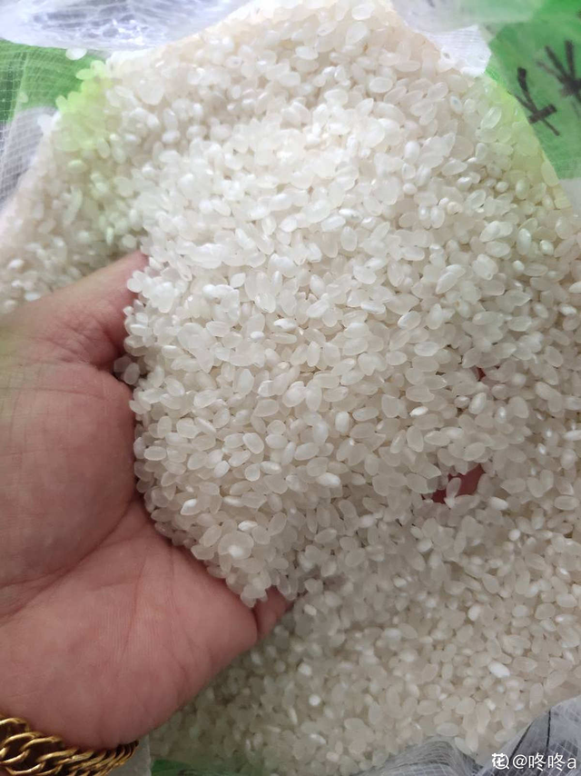 淘米水浇花好不好，淘米水浇花坏处（能浇花还能洗碗）