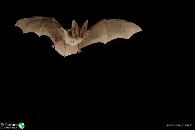 怦然心动美图，怦然心动最新图片（美图 ， 这一瞬间的怦然心动）