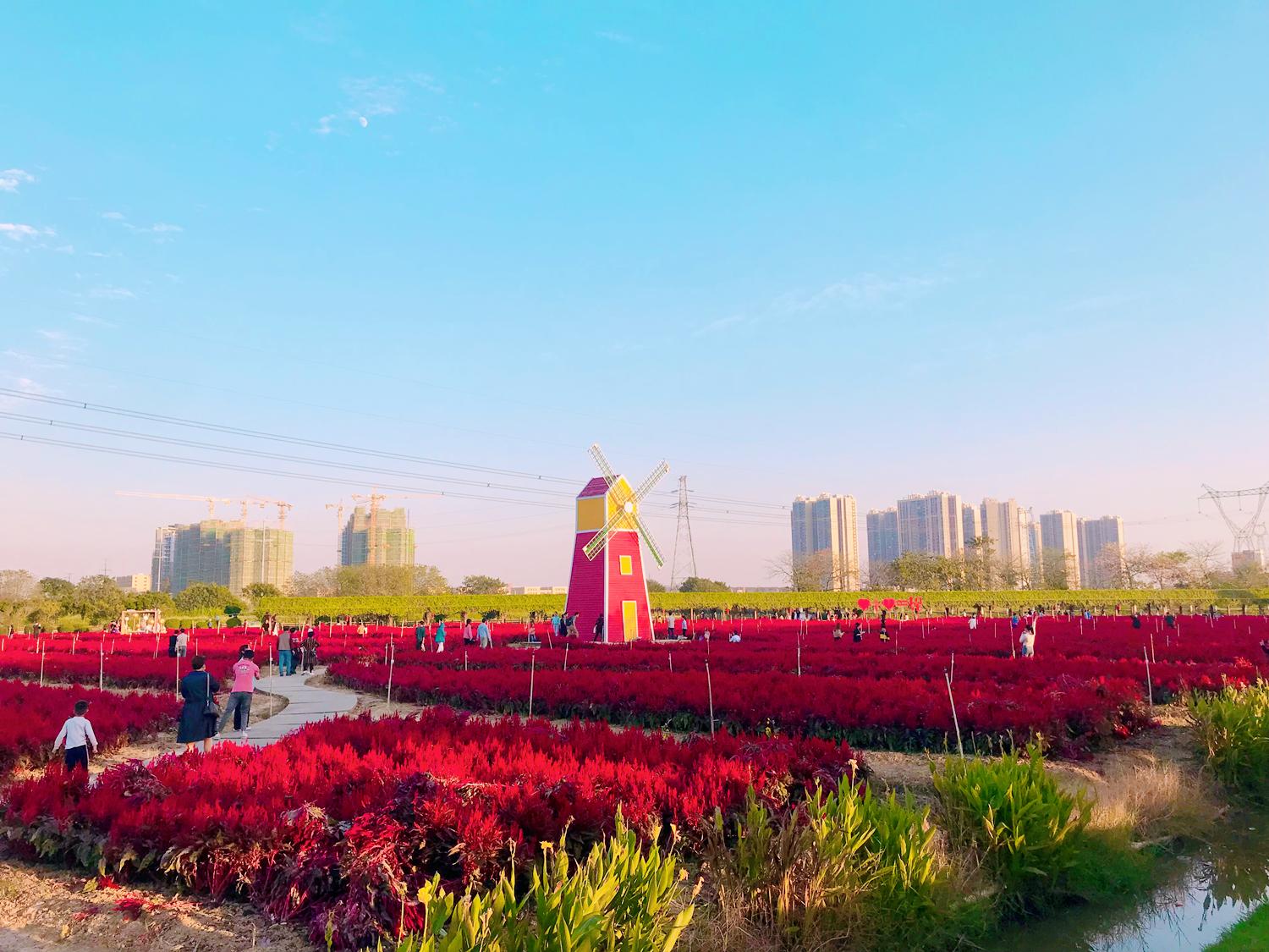 广东省各市车牌字母是什么，广东省各市车牌简称表（2021年前三季度GDP省内第三）
