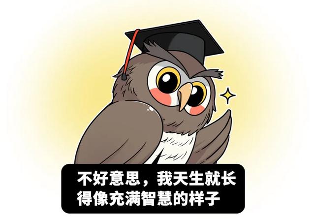 养雪鸮犯法吗，宠物雪貂多少钱一只（猫头鹰的构造原来这么奇葩）