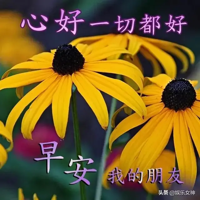 关心人暖心的句子说说心情，关心的话语句句暖人心（微信朋友圈最暖心的心情说说一句话）