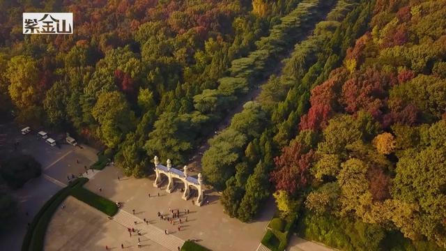 南京中山陵平面图，南京中山陵立面图（探访南京老建筑：中山陵）