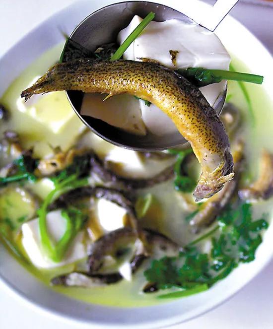 泥鳅豆腐汤怎么做，泥鳅豆腐汤怎么做汤白（广东的内行人都吃它）