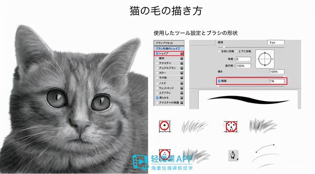 7步教你学会画老虎，7步教你学会画老虎视频（动物简单画法技巧）