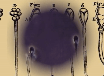 列文虎克是什么梗，你是列文虎克吗（为什么眼神好的人都叫列文虎克）
