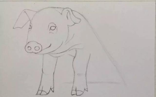 猪头简笔画怎么画，让我们一起学一下小猪简笔画吧