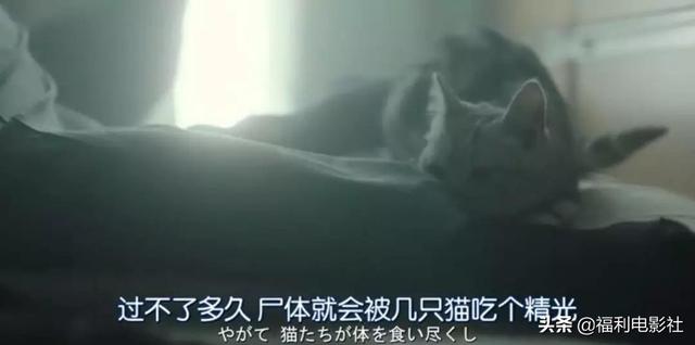 都挺好一共多少集，都挺好多了多少集（4集讲完《都挺好》苏明玉的故事）