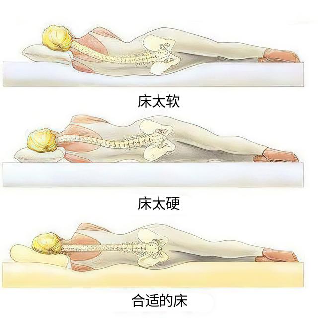 正确坐着睡觉的姿势，站着睡觉姿势（调整坐、站、行、跑、睡五种姿势）