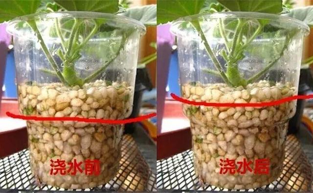 自制雾状小喷壶，自制实用喷水壶（它是扦插万能土）