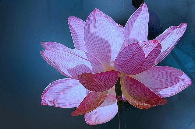 关己则乱什么意思，关己则乱是什么意思（事不关己，关己则乱）