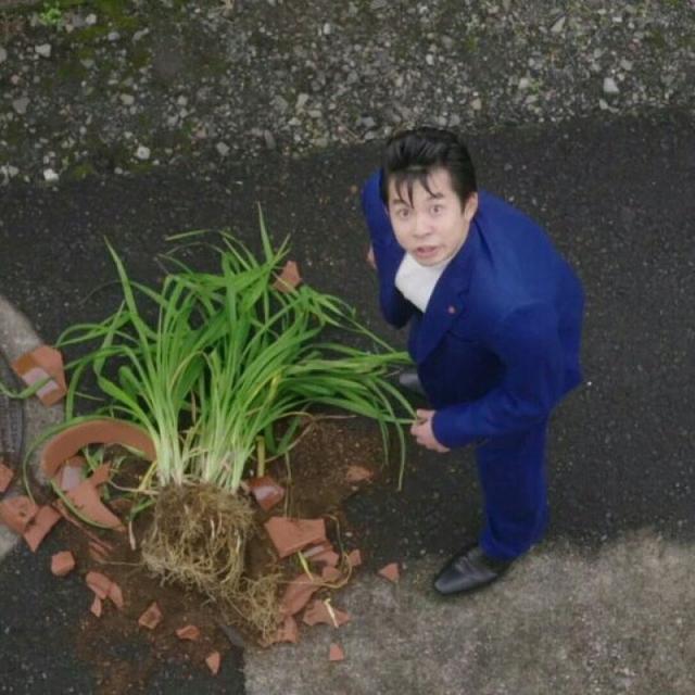 日剧我是大哥大动漫头像，大哥哥头像动漫微信（日剧我是大哥大丨如此沙雕的情侣头像）