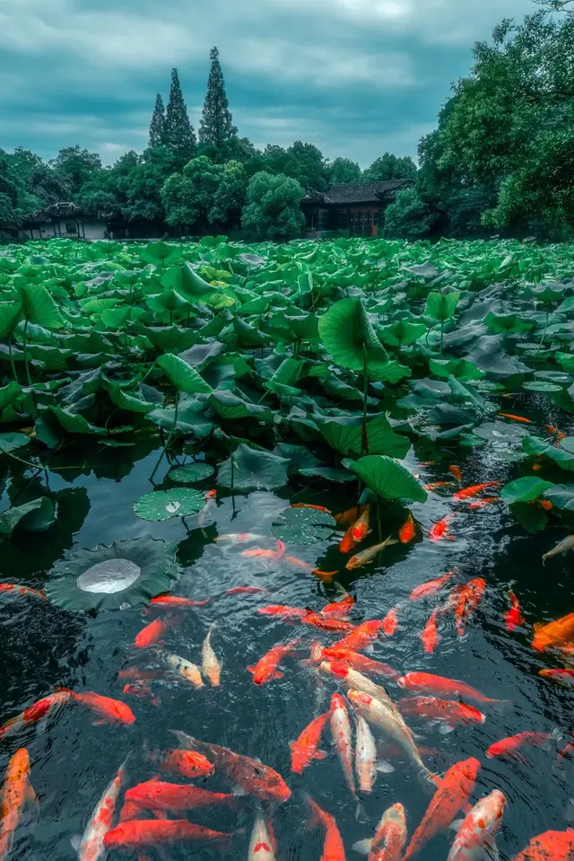 湖州市的湖叫什么，湖州市的湖叫什么 新闻（中间还有一个最美的湖州）