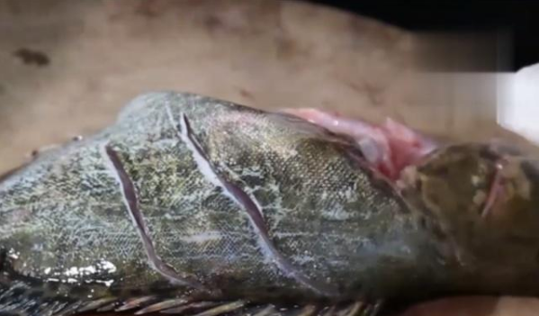 臭鳜鱼腌制方法和做法，臭鳜鱼如何腌制方法（徽世臭鳜鱼正宗做法）