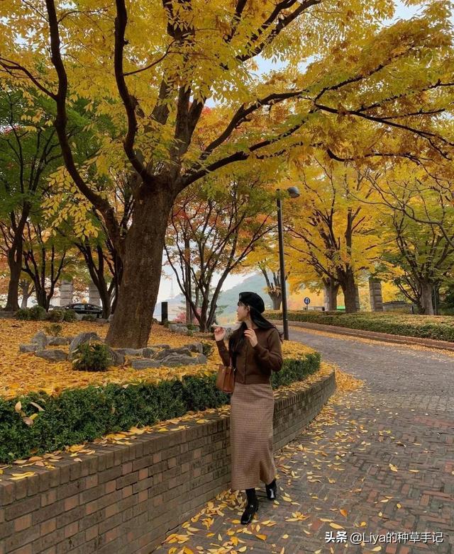 女生穿裙子里面穿的是什么，女生穿裙子里面穿什么裤子（裙子里还在穿“打底裤”吗）