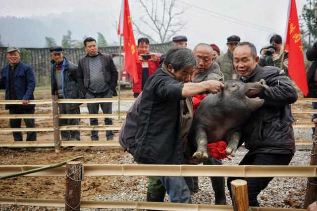 村干部青黄不接,难以为继的状况在一些错落格外突出,这些村子大多经济