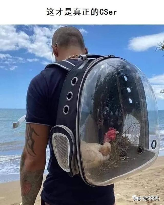 csgo搞笑头像，玩csgo私微信（怎样证明自己是真正的CSer）