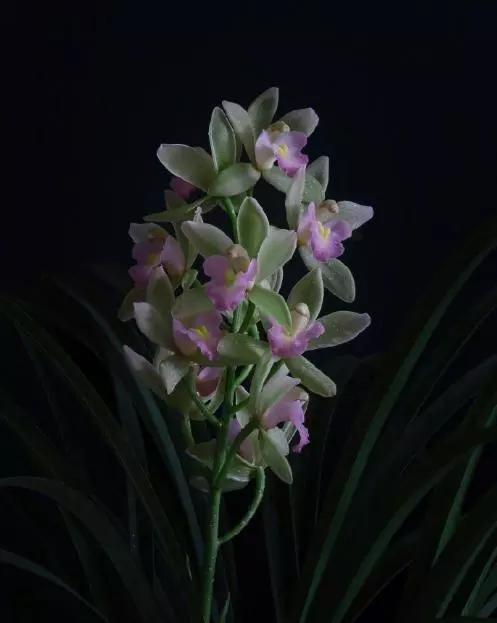 喝红酒适合发朋友圈的句子，喝红酒适合发朋友圈的句子简短（品红酒感悟人生的说说）