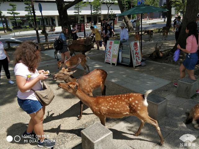 国航最高级别什么卡，国航白金卡什么级别（经济舱也能享受贵宾室、提前选座等权益）
