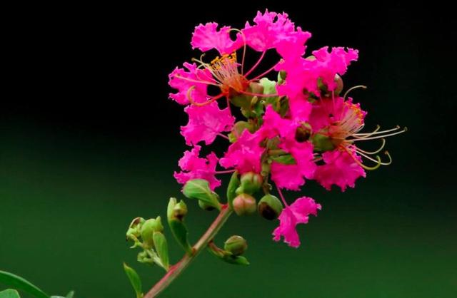 白居易的千古绝句全文，最后14字是千古名句