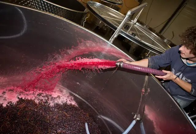 葡萄酒的酿制方法，葡萄酒正确酿制方法（图解红葡萄酒的酿造过程）