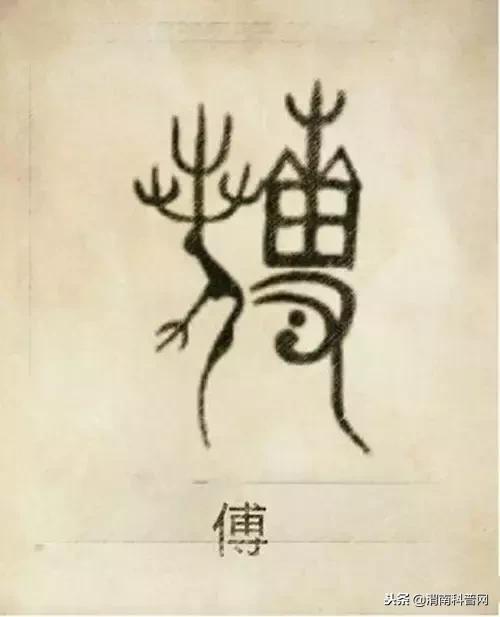 一个草字头一个吕，草字头加吕什么字（中国100大姓氏起源、图腾）