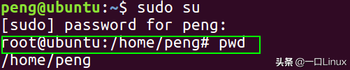 linux压缩命令，linux压缩命令gzip（Linux入门的基础知识点汇总）
