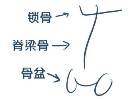 画人全身怎么画简单，超详细的身体绘制画法教程（画人全身怎么画简单古风）