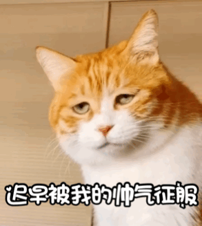 纸折隐藏小机关，怎么折简单的手账小机关（日本折纸大神把折纸玩活了）