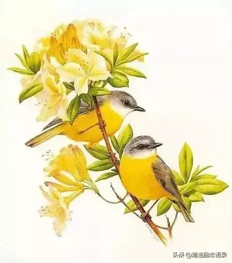 4的意思是什么，20-3*4的意思是什么（10）