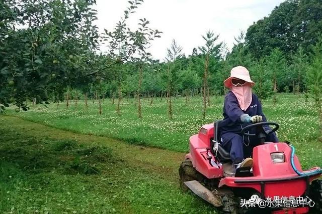 果蜜是什么，柠檬果蜜是什么（走进日本苹果第一大县“青森县”）