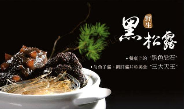 松露的功效与作用，松露有比鸡蛋、牛肉还优秀的蛋白质…更有诸多功能受男性喜欢…