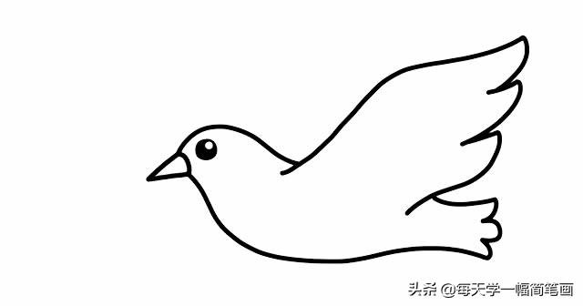 橄榄枝怎么画，橄榄枝怎么画好看（每天学一幅简笔画--白鸽子简笔画的画法）