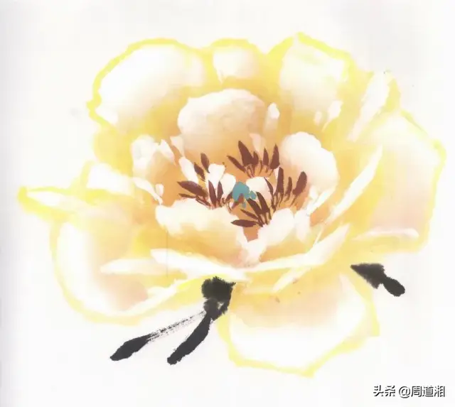 牡丹花头的画法对照表，写意牡丹花头的各种画法