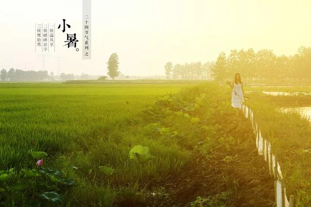 节气小暑的习俗有哪些 小暑节气的风俗活动与食俗汇总，节气小暑的习俗有哪些（这5个小暑习俗你知道几个）