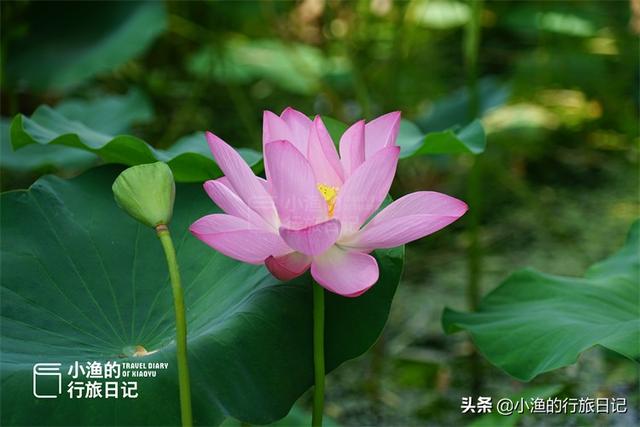 西安周边自驾游，西安周边适合一天自驾游的地方（大部分景点都免费）