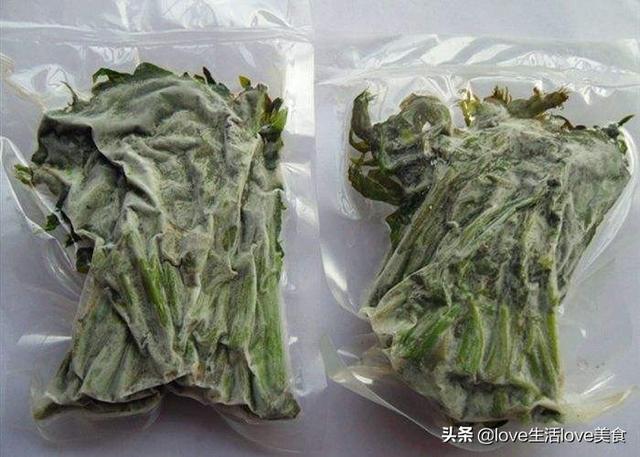 夏天的香椿嫩芽可以吃吗，夏天香椿树上的嫩芽能吃吗（我们家都这样将香椿芽保鲜）